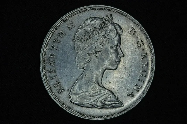 elizabeth ii, canadian dollar, cash, silver, elizabeth ii, elizabeth ii, canadian dollar, canadian dollar, canadian dollar, canadian dollar, canadian dollar. Budgeting for a lead network with cash, VAT and labour kept separate