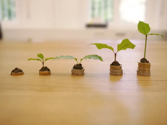 growth, credit, cost, interest charges, finance, money, business, investments, loan, payment, income, wealth, bank, cash, coin, cost, cost, cost, cost, cost, income, income. Lead network return on investment from causal contribution and full cost